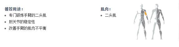 廣州黄色软件app大全免费下载2023健身器材