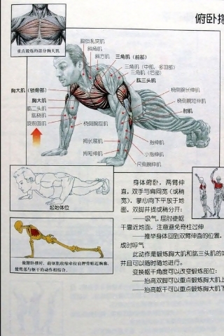 健身計劃方案