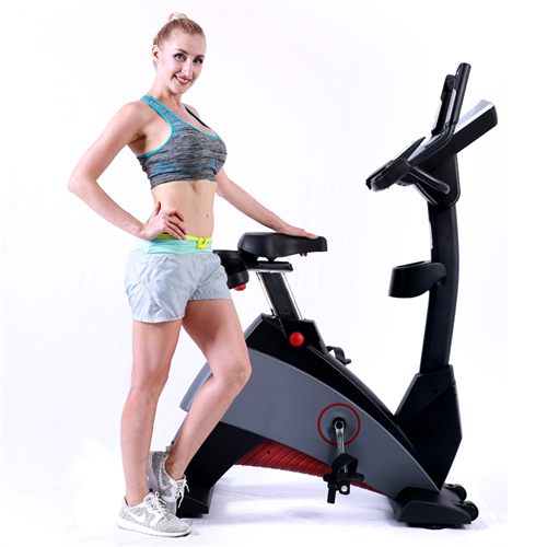 BCE601 立式健身车黄色软件大全 健身房器材工厂批发