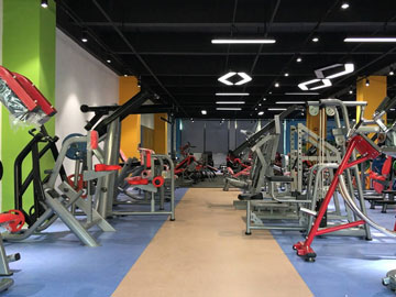 黄色软件app大全免费下载2023健身器材公司展厅实拍图片7