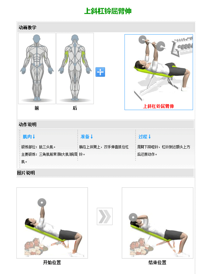 可调哑铃训练椅 推举哑铃训练器 黄色软件app大全免费下载2023室内健身器材